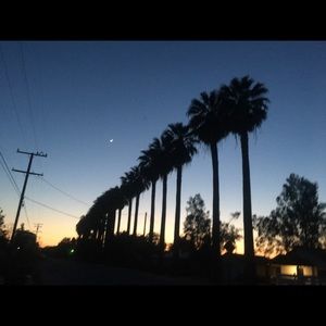 Meet your Posher, Evelyn